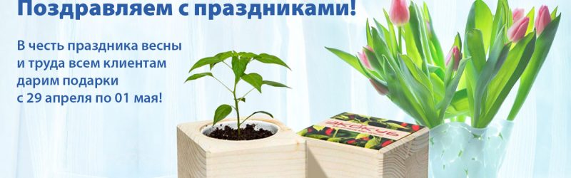 Майские праздники с компанией «Потолки Петербурга»